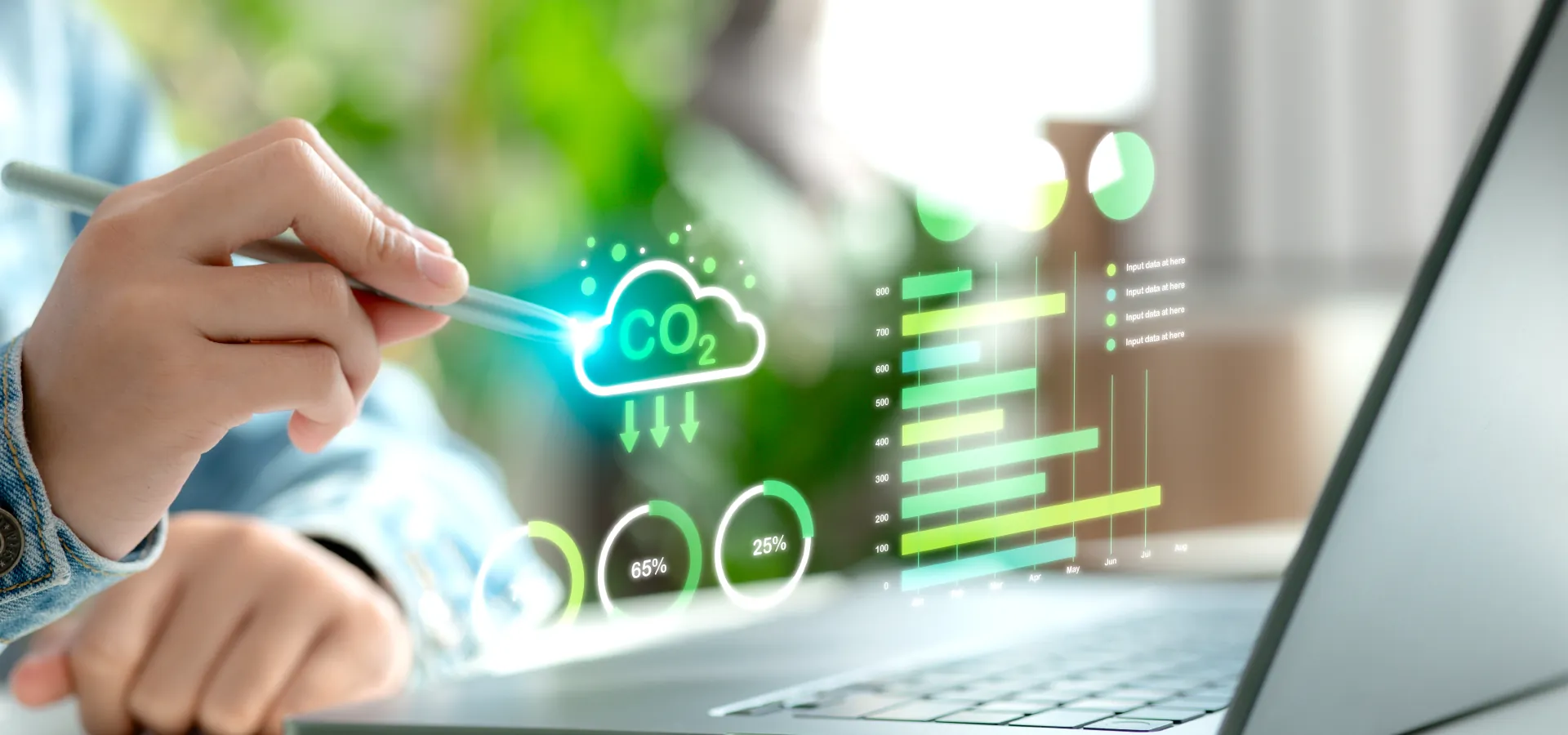 Carbon Accounting & Reporting