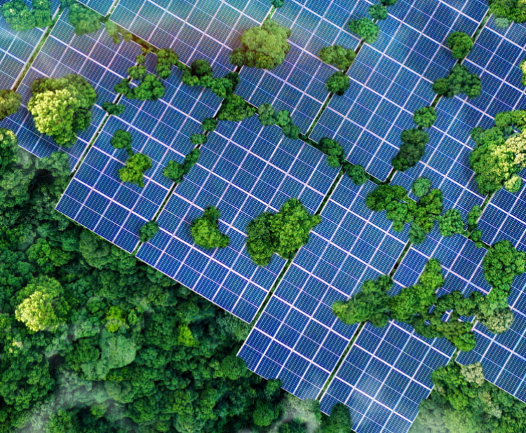 Sustainability