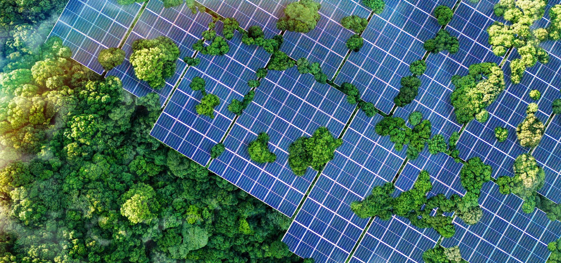 Sustainability