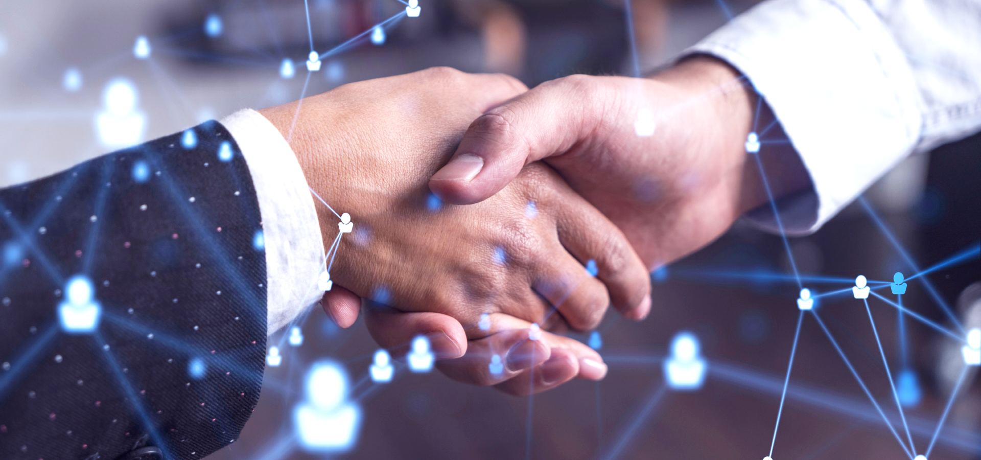 Business Networking Hub