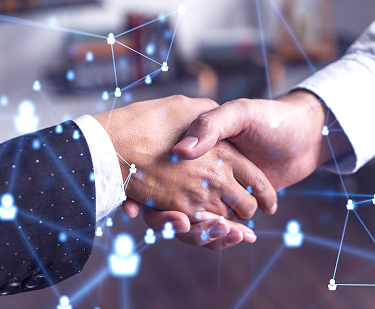 Business Networking Hub