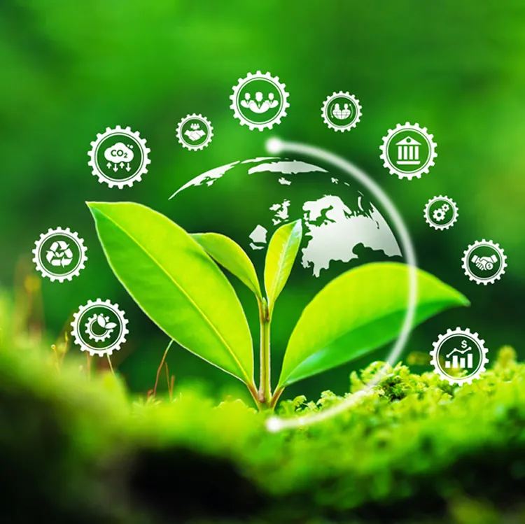 ESG & CBAM Readiness Check