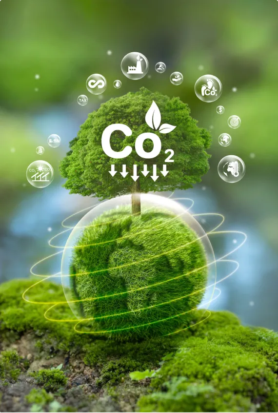 ESG, Compliance & Market Access at NTB ESG, Compliance & Market Access at NTB