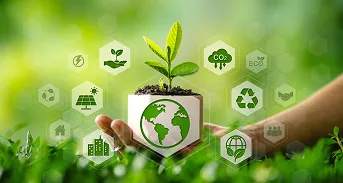 Global Climate Context and Carbon Reporting Imperatives