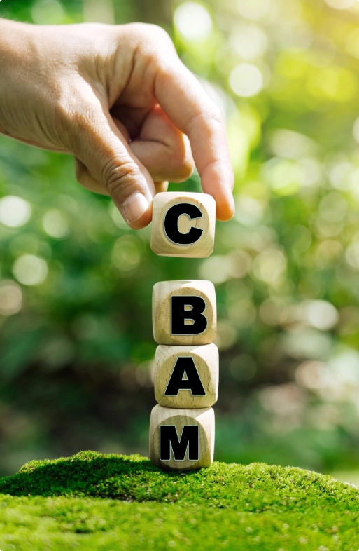 CBAM Scope and Impact