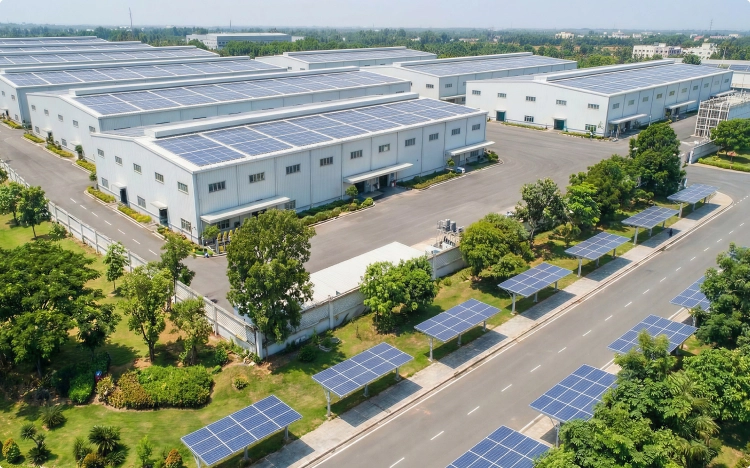 Designed for Different Production Needs