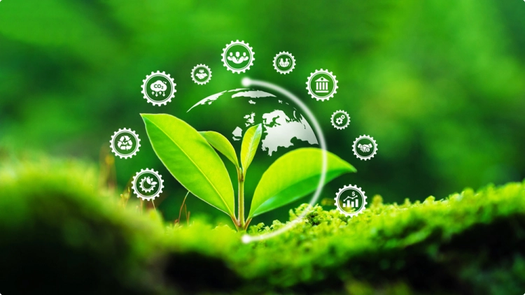 ESG and CBAM Compliance Platform ESG and CBAM Compliance Platform