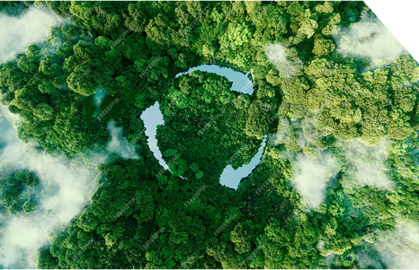 Sustainability