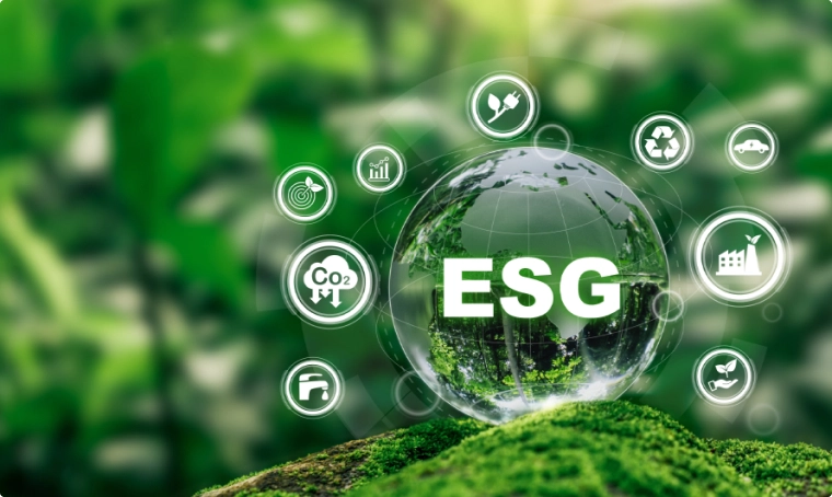 The Optimal Investment for a Sustainable Future