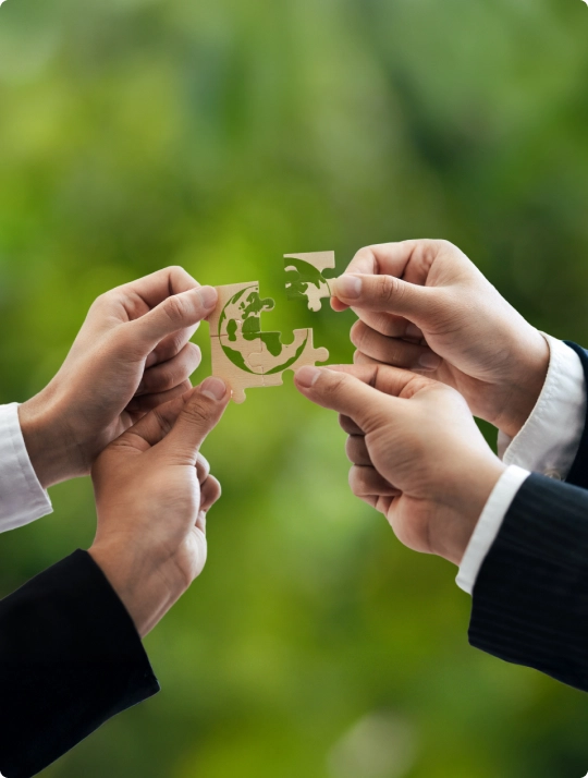 Your ESG Journey with NTB