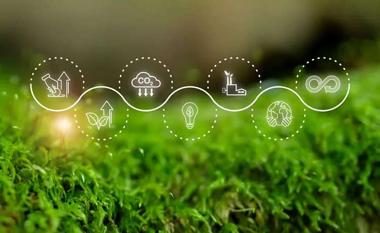 A Vision for a Sustainable Industrial Ecosystem A Vision for a Sustainable Industrial Ecosystem