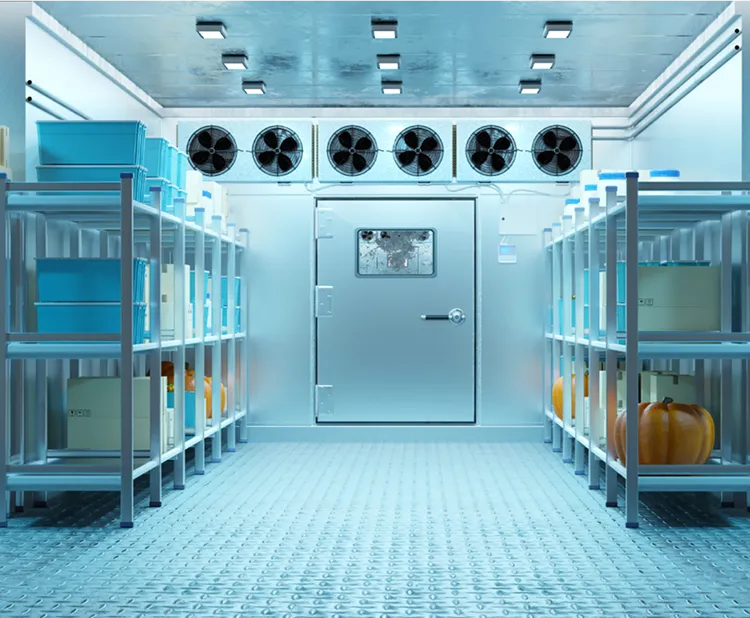 Logistics & Cold Chain