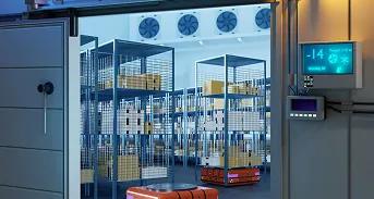 The Global Transformation in Supply Chain Dynamics