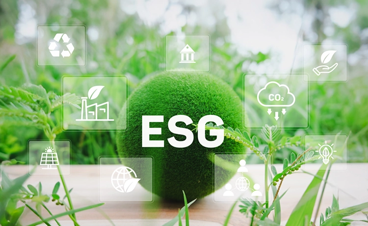Why ESG and CBAM Matter for Manufacturers Today